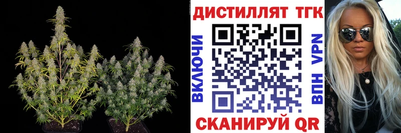 Купить Норильск Дистиллят ТГК THC oil
