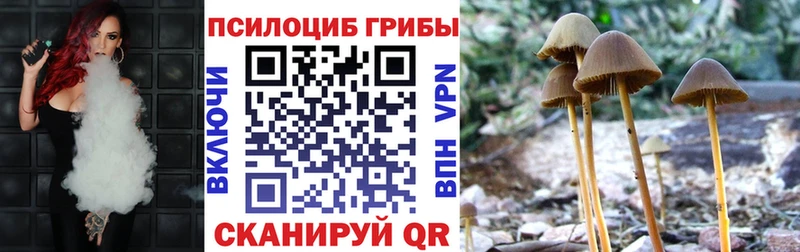 Купить где  Норильск  Галлюциногенные грибы прущие грибы 